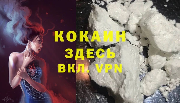 спайс Алексин