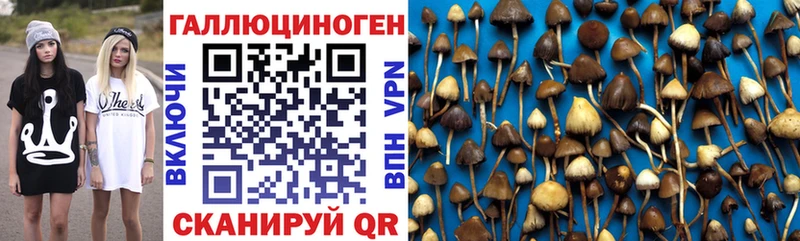 Псилоцибиновые грибы MAGIC MUSHROOMS  Нижний Тагил 